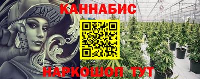 стафф Краснодар