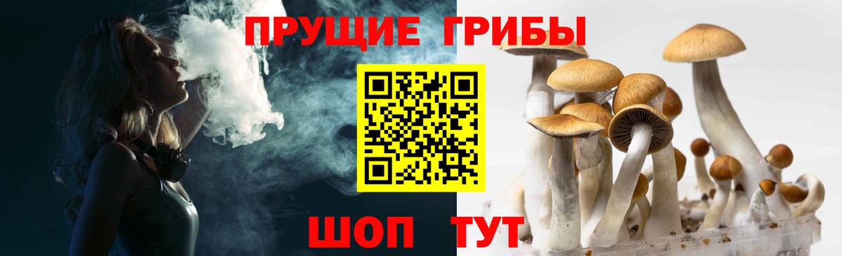 Галлюциногенные грибы Magic Shrooms Воскресенск